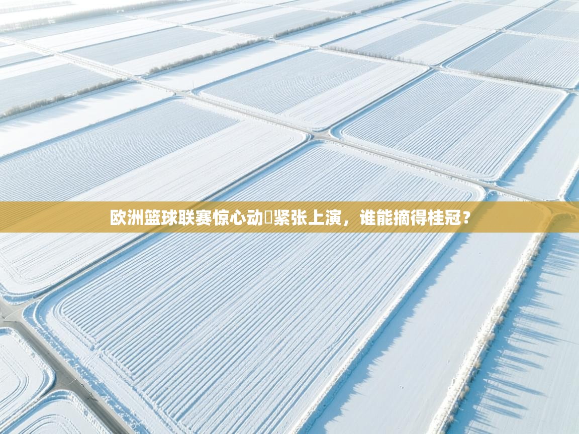 欧洲篮球联赛惊心动魆紧张上演，谁能摘得桂冠？  第1张