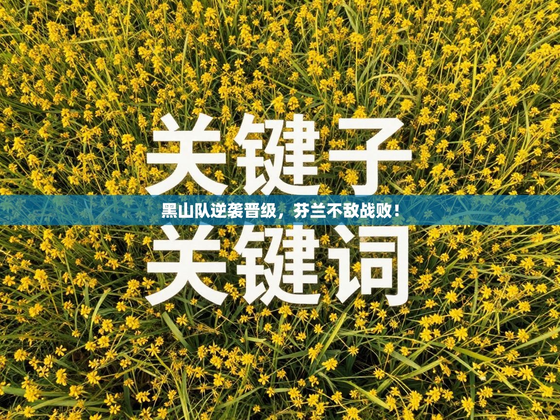 黑山队逆袭晋级，芬兰不敌战败！  第1张