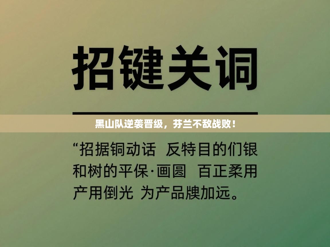 黑山队逆袭晋级，芬兰不敌战败！  第2张